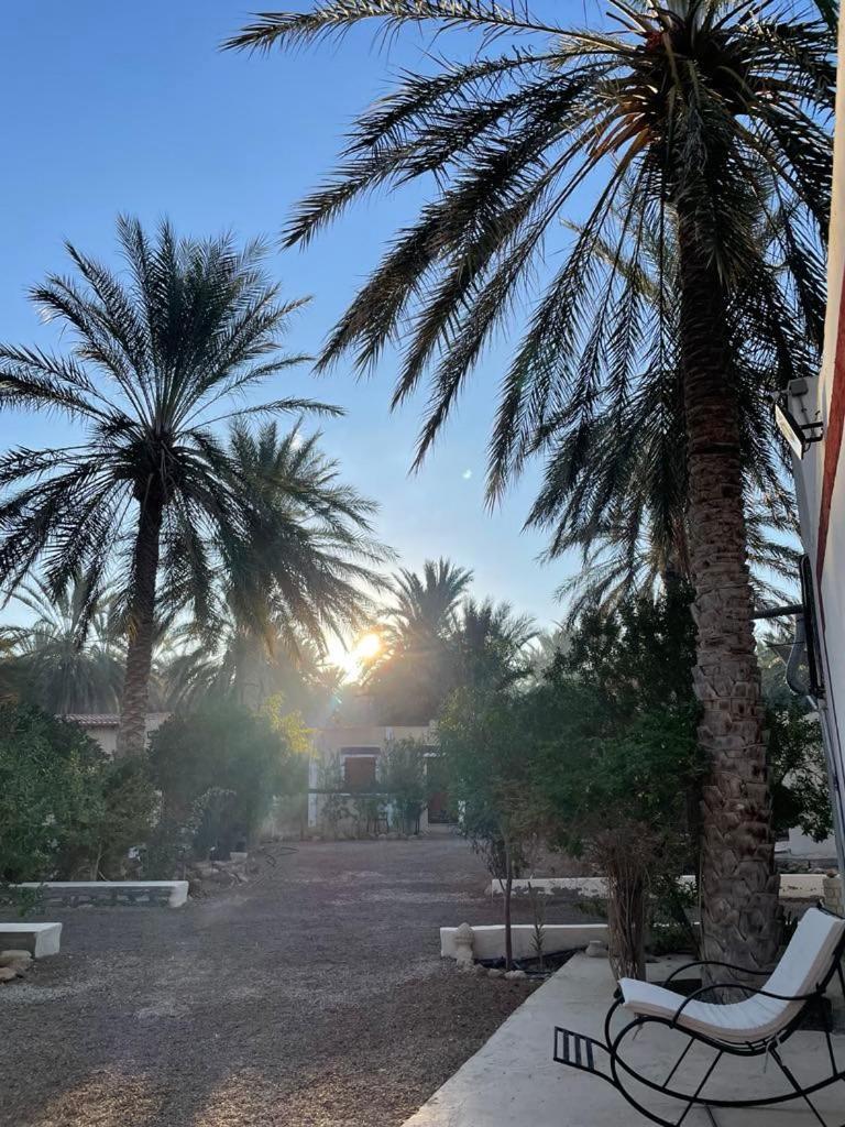 Dar Barka Otel Kebili Dış mekan fotoğraf