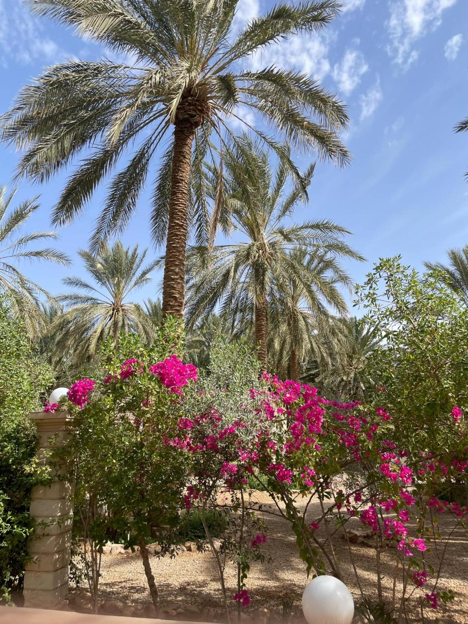 Dar Barka Otel Kebili Dış mekan fotoğraf
