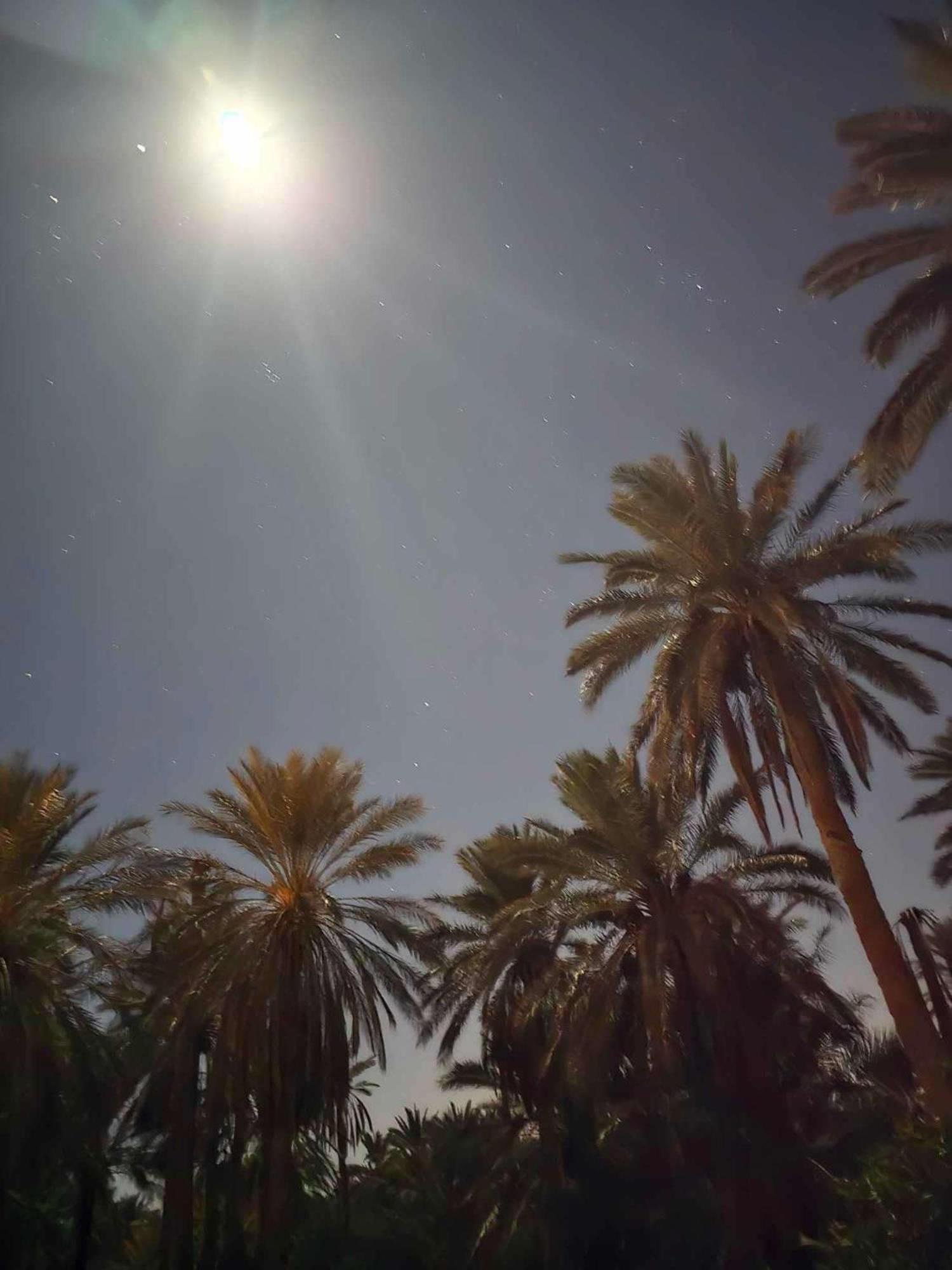 Dar Barka Otel Kebili Dış mekan fotoğraf
